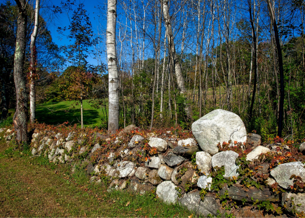 #37. Connecticut (tie)